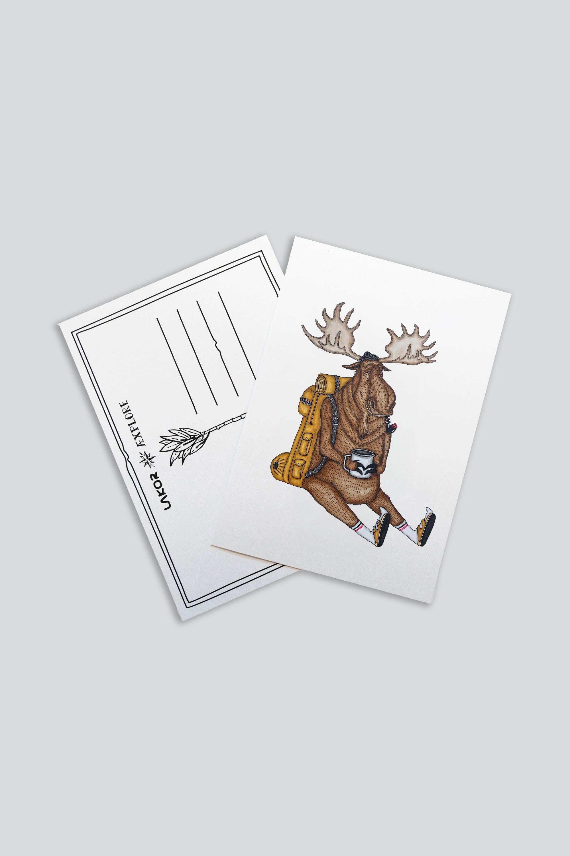 Snooze Moose Postcard